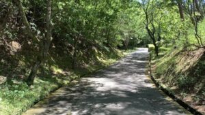 岐阜百年公園 トリム広場へ続く自然豊かな遊歩道