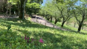 岐阜百年公園 サイクリングコースと四季折々の自然風景
