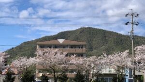 長良公園 公園の北側を見ると百々が峰と桜のコラボレーション。