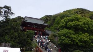 春に訪れた鶴岡八幡宮。広々とした参道は子どもも安心して歩けました