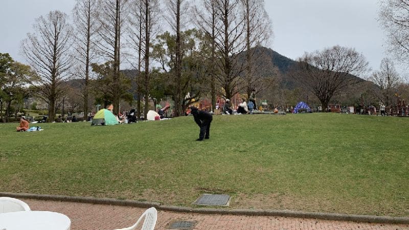 長良公園 売店入り口から見た芝生広場
