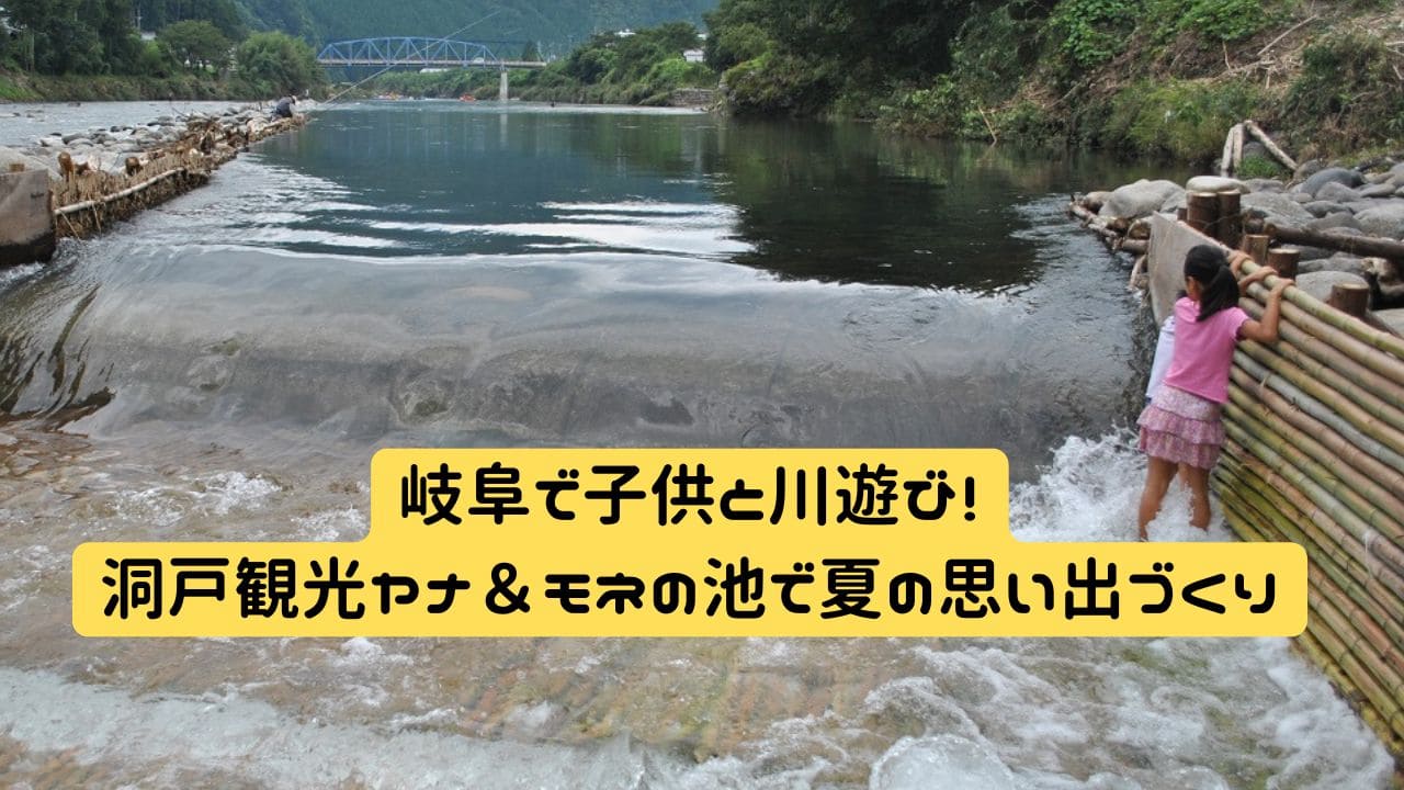 岐阜・洞戸観光ヤナで川遊びを楽しむ子供たちと自然の風景