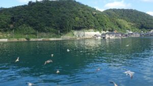 遊覧船から見た伊根の舟屋。海と共に暮らす町並みを海上から観賞