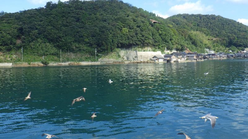 遊覧船から見た伊根の舟屋。海と共に暮らす町並みを海上から観賞