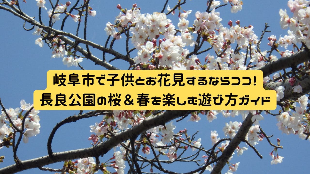 長良公園で春に咲く満開の桜の写真。子供とお花見を楽しめる岐阜市の人気スポット