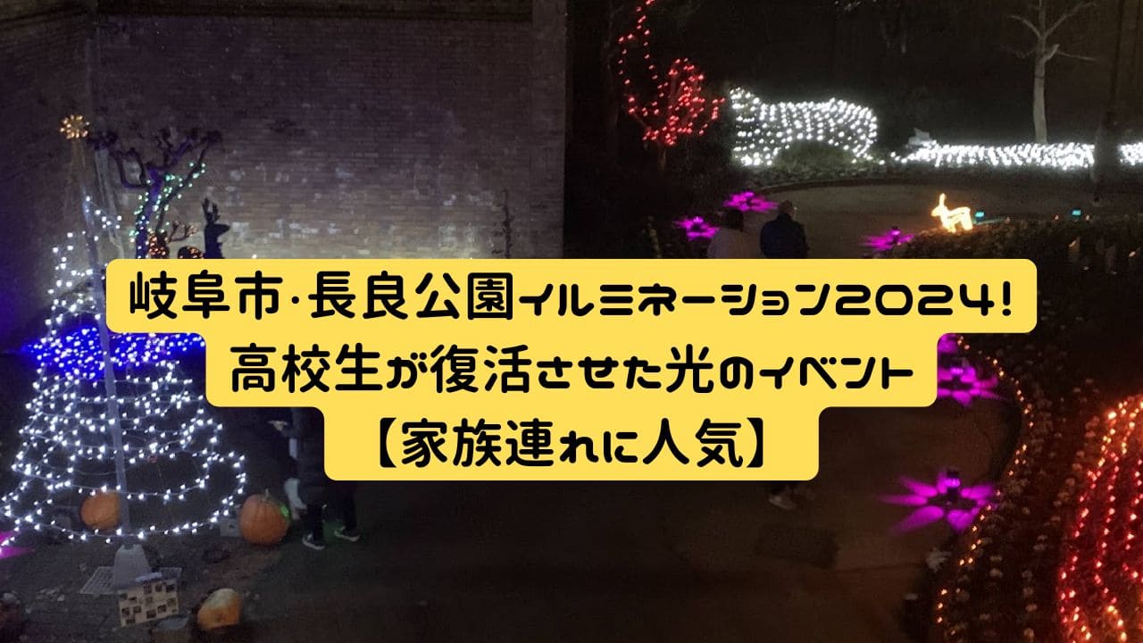 長良公園イルミネーションで夜にライトアップされた沈床花壇の光景。高校生が復活させた地域イベント