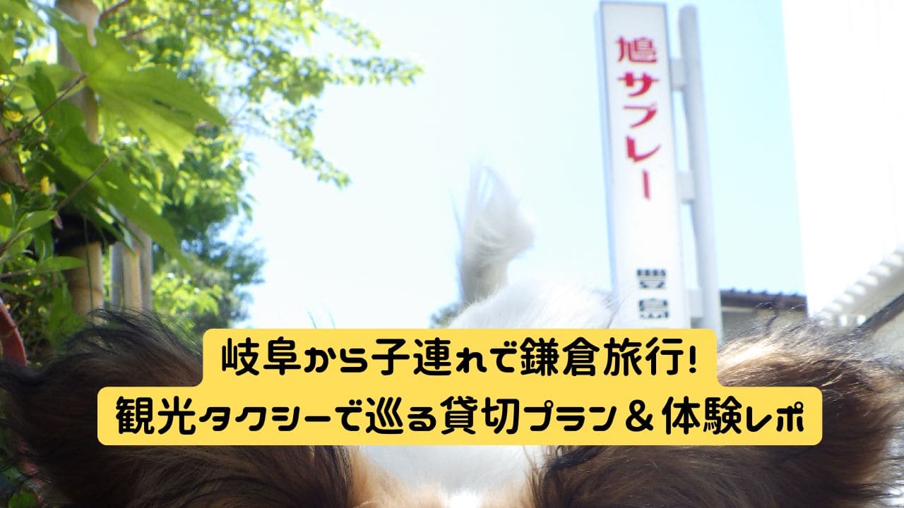 岐阜から子連れで訪れた鎌倉。観光タクシーで巡った旅の思い出を象徴する風景
