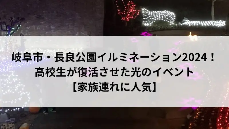 長良公園イルミネーションで夜にライトアップされた沈床花壇の光景。高校生が復活させた地域イベント