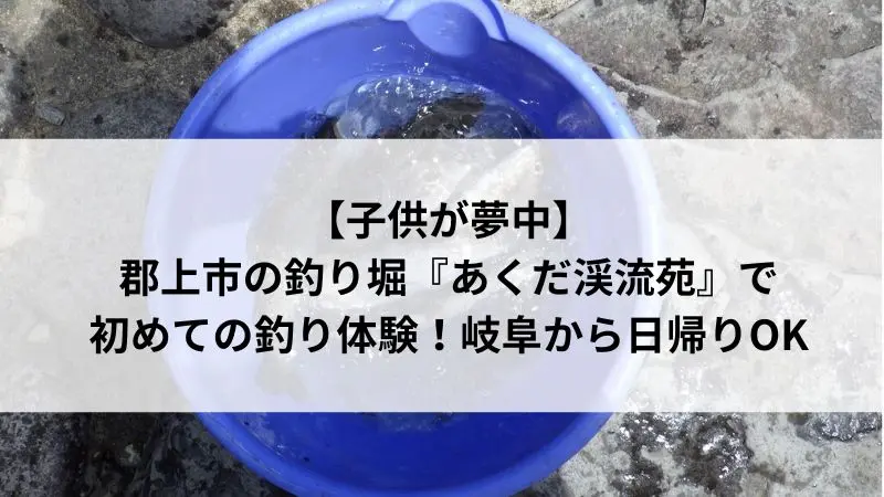 郡上市あくだ渓流苑で釣ったニジマス｜初めての釣り体験にぴったりな子供向けスポット