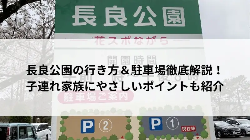 岐阜市の長良公園で遊ぶ子供たちと芝生広場の風景