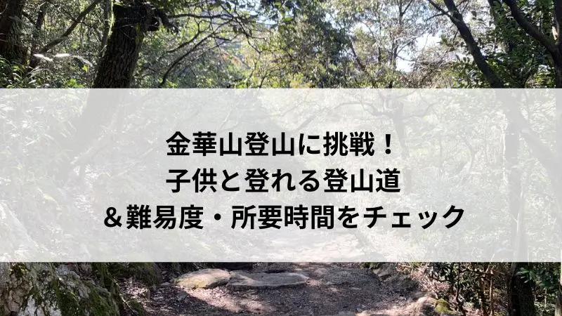 金華山の登山道と木漏れ日の山道。
