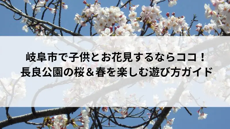 長良公園で春に咲く満開の桜の写真。子供とお花見を楽しめる岐阜市の人気スポット