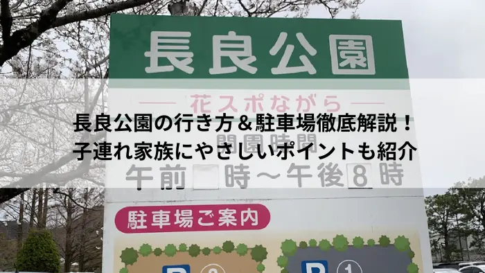 岐阜市の長良公園で遊ぶ子供たちと芝生広場の風景