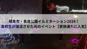 長良公園イルミネーションで夜にライトアップされた沈床花壇の光景。高校生が復活させた地域イベント