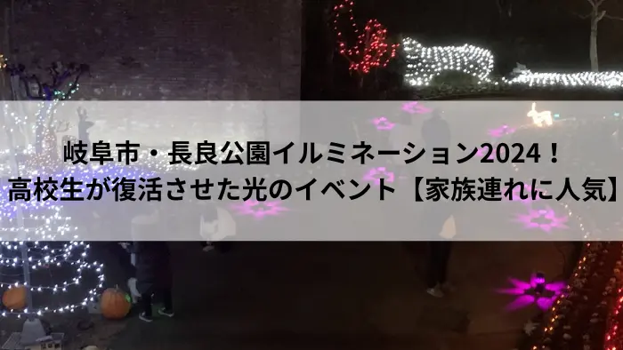 長良公園イルミネーションで夜にライトアップされた沈床花壇の光景。高校生が復活させた地域イベント