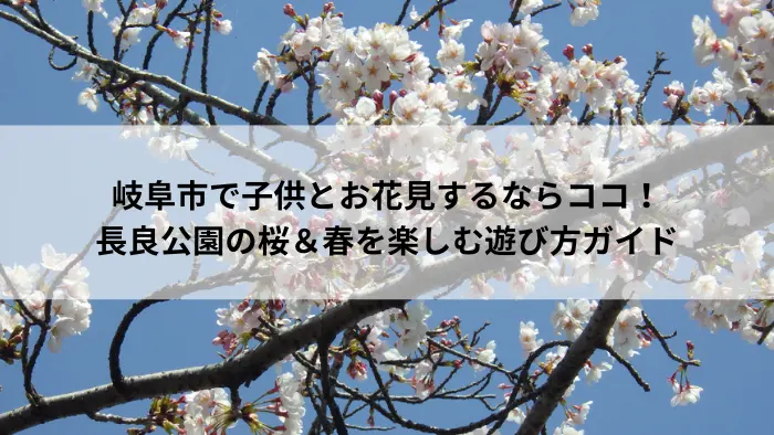 長良公園で春に咲く満開の桜の写真。子供とお花見を楽しめる岐阜市の人気スポット