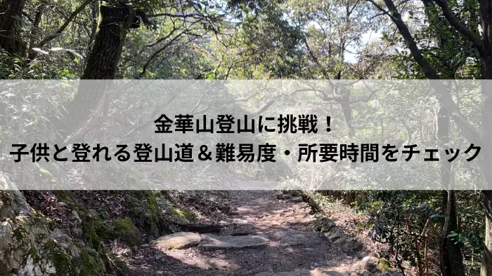 金華山の登山道と木漏れ日の山道。