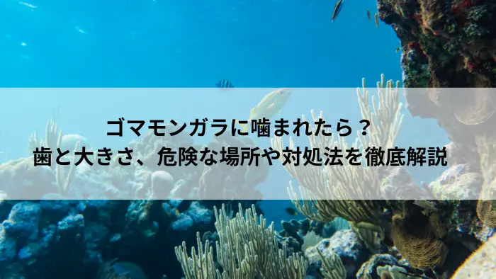 ゴマモンガラに噛まれた際の対処法と危険な海域を解説する記事のアイキャッチ画像（サンゴ礁の海中風景）