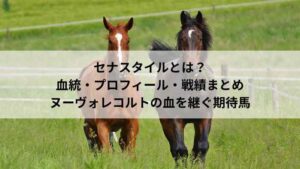 セナスタイルとは？血統・プロフィール・戦績まとめ｜ヌーヴォレコルトの血を継ぐ期待馬を紹介する記事アイキャッチ