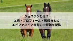 ジョスランとは？血統・プロフィール・戦績まとめ｜エピファネイア産駒の中距離有望株を解説する記事アイキャッチ