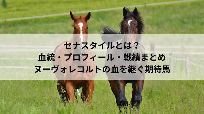 セナスタイルとは？血統・プロフィール・戦績まとめ｜ヌーヴォレコルトの血を継ぐ期待馬を紹介する記事アイキャッチ