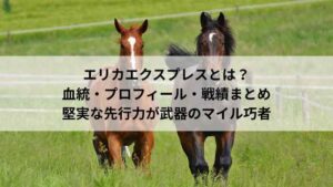 エリカエクスプレス｜血統・プロフィール・戦績まとめ。堅実な先行力を武器に活躍するマイル巧者