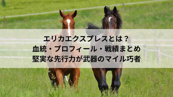 エリカエクスプレス｜血統・プロフィール・戦績まとめ。堅実な先行力を武器に活躍するマイル巧者