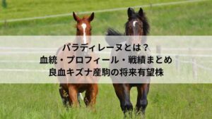 パラディレーヌ｜血統・プロフィール・戦績まとめ｜良血キズナ産駒の将来有望株