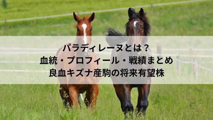パラディレーヌ｜血統・プロフィール・戦績まとめ｜良血キズナ産駒の将来有望株