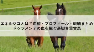 青葉賞を豪快に差し切ったエネルジコ｜ドゥラメンテ産駒の注目馬