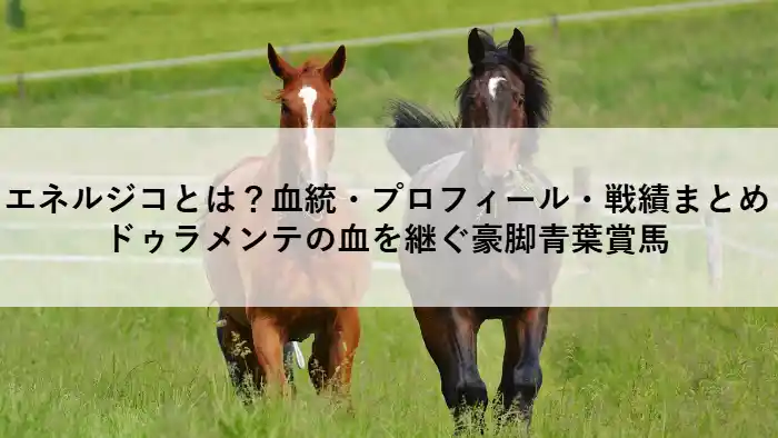 青葉賞を豪快に差し切ったエネルジコ｜ドゥラメンテ産駒の注目馬