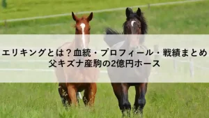 エリキングのアイキャッチ画像｜血統・プロフィール・戦績まとめ