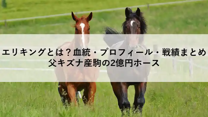 エリキングのアイキャッチ画像｜血統・プロフィール・戦績まとめ