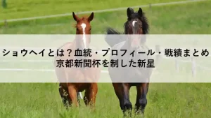京都新聞杯を制した競走馬ショウヘイの紹介記事アイキャッチ画像（血統・プロフィール・戦績まとめ）