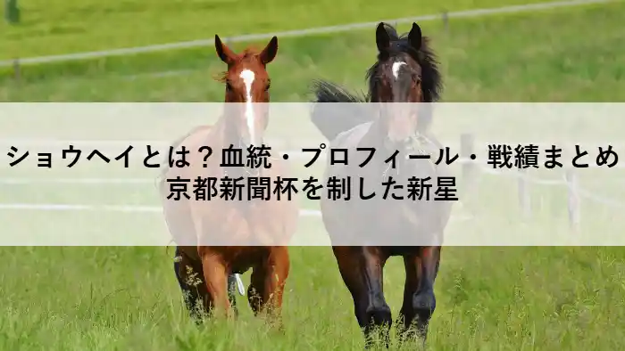 京都新聞杯を制した競走馬ショウヘイの紹介記事アイキャッチ画像（血統・プロフィール・戦績まとめ）