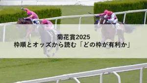 菊花賞2025のレースイメージ｜枠順と10月24日時点オッズから有利な枠を分析