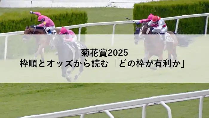 菊花賞2025のレースイメージ|枠順と10月24日時点オッズから有利な枠を分析