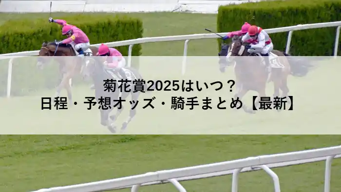 菊花賞2025の開催日程や予想オッズ・騎手情報をまとめた記事のアイキャッチ画像