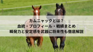 カムニャックの血統・プロフィール・戦績まとめ｜瞬発力と安定感を武器に将来性も徹底解説