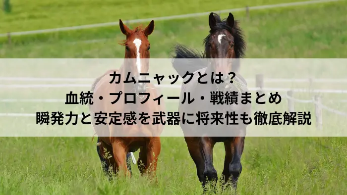 カムニャックの血統・プロフィール・戦績まとめ｜瞬発力と安定感を武器に将来性も徹底解説