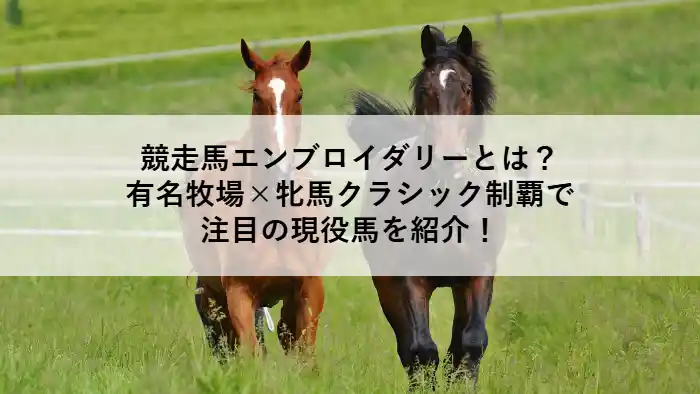 桜花賞と秋華賞を制したエンブロイダリーが走る芝コースの決戦シーン