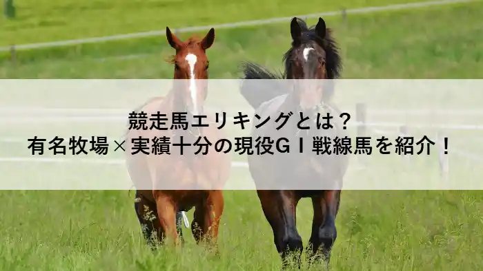 2頭の馬が草原を駆ける写真に、競走馬エリキングの紹介タイトルが重なるアイキャッチ画像