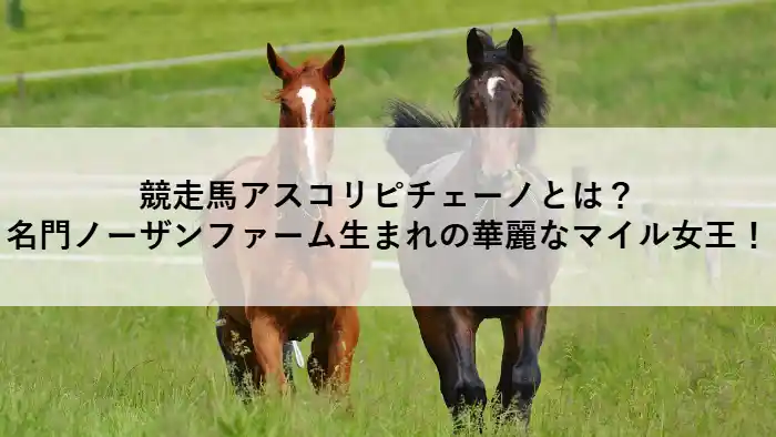 草原を駆ける2頭の競走馬。中央に黒鹿毛の牝馬アスコリピチェーノのイメージ画像