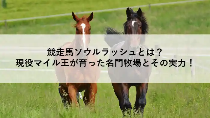 2頭の馬が牧場を駆ける様子と「競走馬ソウルラッシュとは?現役マイル王が育った名門牧場とその実力!」というタイトルテキスト