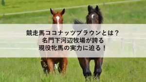 緑の放牧地を駆ける2頭のサラブレッド。競走馬ココナッツブラウンの記事アイキャッチ。