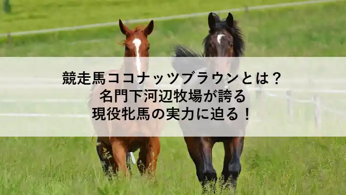 緑の放牧地を駆ける2頭のサラブレッド。競走馬ココナッツブラウンの記事アイキャッチ。