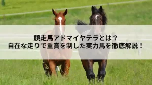 芝を走る2頭の馬と「競走馬アドマイヤテラとは？自在な走りで重賞を制した実力馬を徹底解説！」の文字が入ったアイキャッチ画像