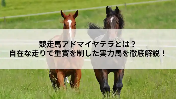 芝を走る2頭の馬と「競走馬アドマイヤテラとは？自在な走りで重賞を制した実力馬を徹底解説！」の文字が入ったアイキャッチ画像