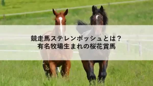 緑の牧場を駆ける2頭の馬。中央に「競走馬ステレンボッシュとは？有名牧場生まれの桜花賞馬」とテキストが重ねられている画像。