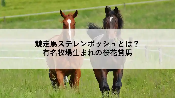 緑の牧場を駆ける2頭の馬。中央に「競走馬ステレンボッシュとは？有名牧場生まれの桜花賞馬」とテキストが重ねられている画像。